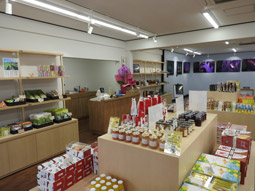 城ヶ崎ビューテラス